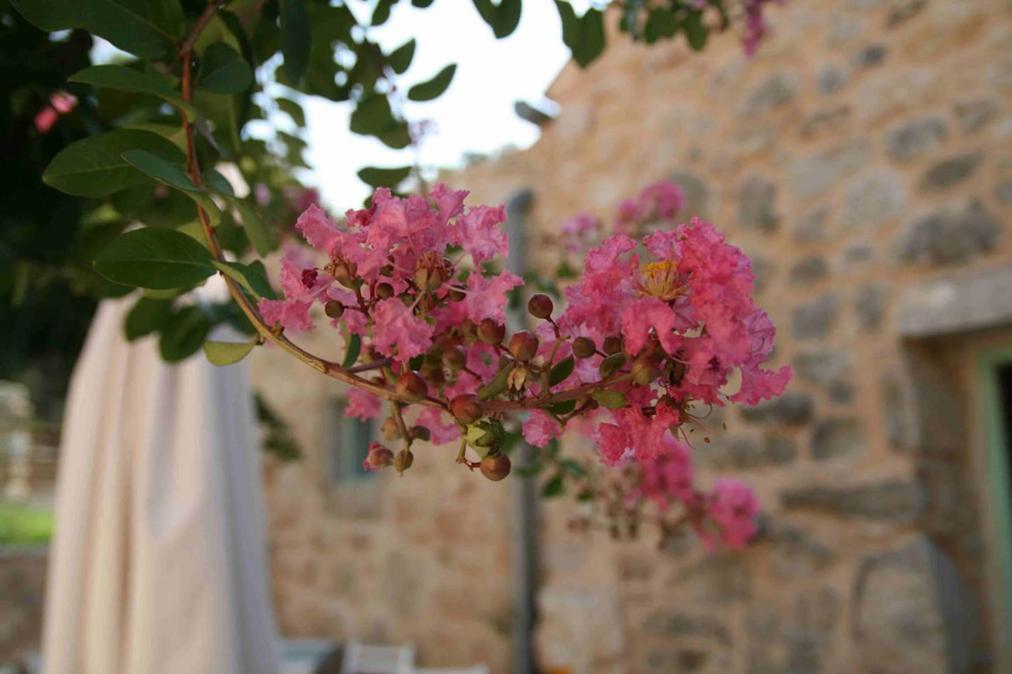 Hotel Village Balatura - Exclusive Veggie Tribalj  Exterior photo